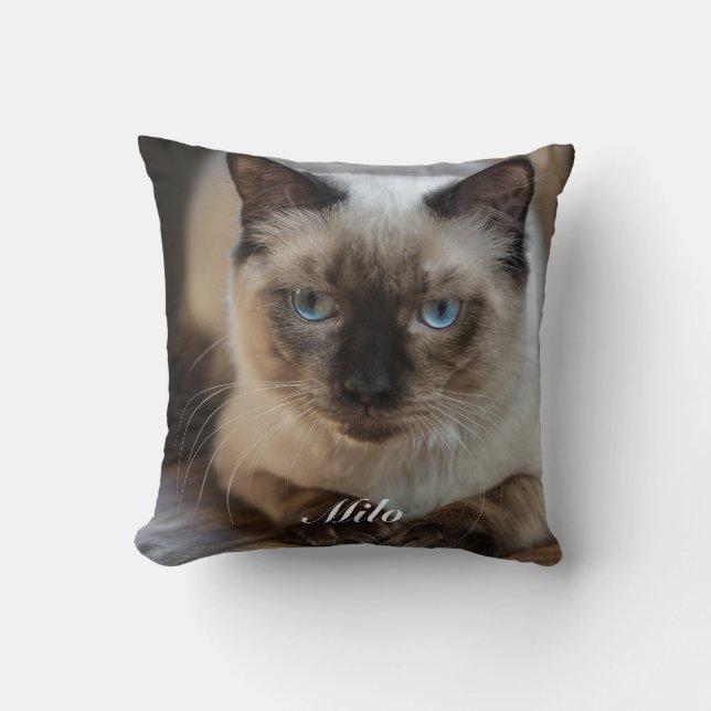 Coussin Photo de chat Ragdoll personnalisé avec nom (Recto)