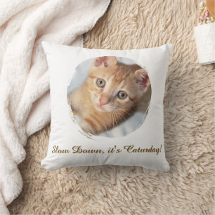 Coussin Photo de chat Texte, Remplaçable, Drôle de Caturda