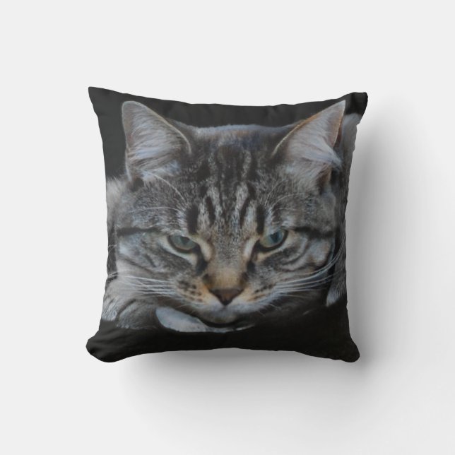 Coussin Photo de chat tigre africain sauvage, amoureux des (Recto)
