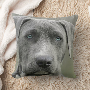 Coussin Photo de chien unique Animaux de compagnie Memoria