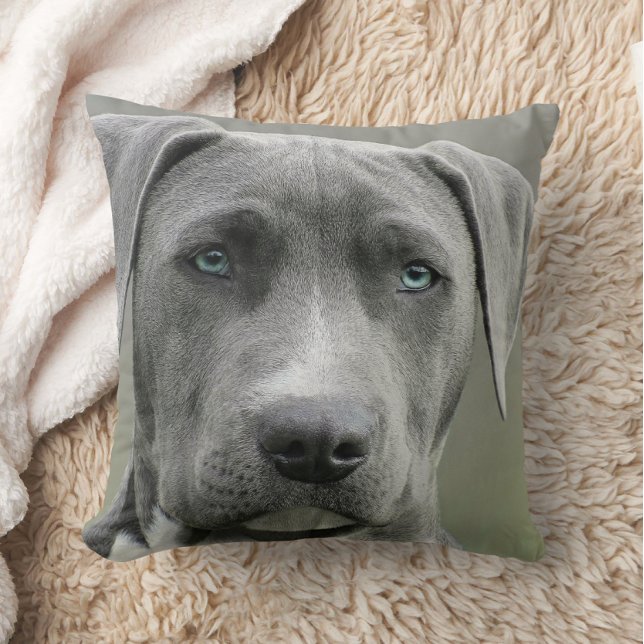 Coussin Photo de chien unique Animaux de compagnie Memoria (Créateur téléchargé)