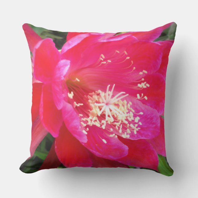 Coussin Photo de fleur rose tropicale (Recto)
