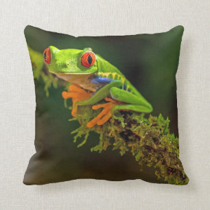 Coussin Photo de grenouille à arbre rouge