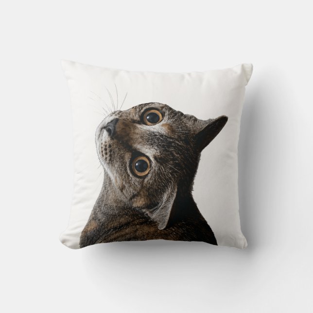 Coussin Photo de gros plan de chat tabby mignon  (Recto)