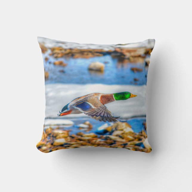Coussin Photo de la faune de Mallard Duck pour les amateur (Recto)