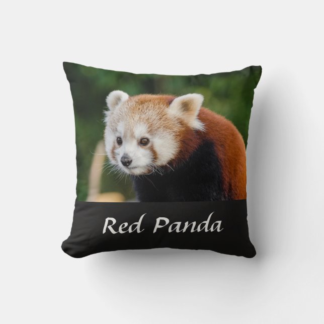 Coussin Photo de la nature sauvage du Panda rouge (Recto)