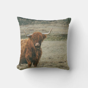 Coussin PHOTO DE LA VACHE DE CHÂTEAU vintage HIGHLAND