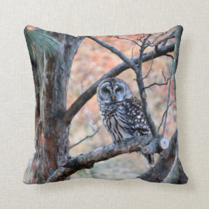 Coussin Photo de l'arbre de la Chouette Barred Wildlife