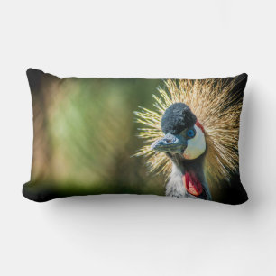 Coussin photo de l'oiseau