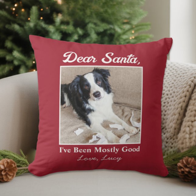 Coussin Photo de Noël drôle de chien de compagnie chat che (Funny Dear Santa Pet Dog Cat Christmas Photo Throw Pillow)