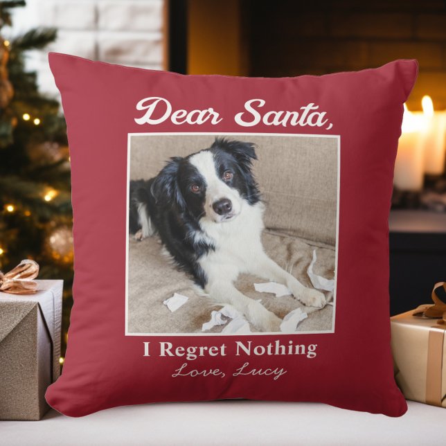 Coussin Photo de Noël drôle de chien de compagnie chat che (Funny Dear Santa Pet Dog Cat Christmas Photo Throw Pillow)