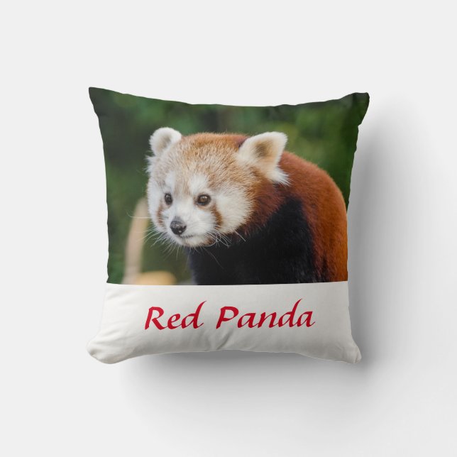 Coussin Photo de panda roux sauvage dans la nature (Recto)