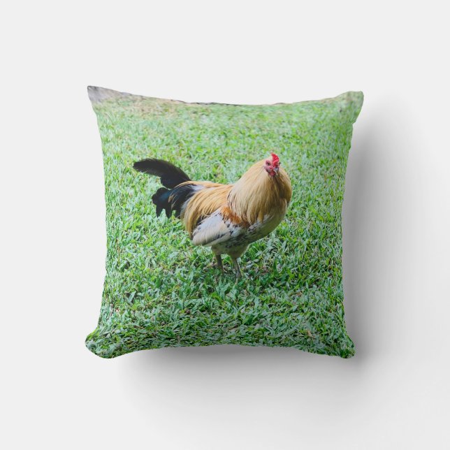 Coussin photo de poule hawaïenne (Recto)
