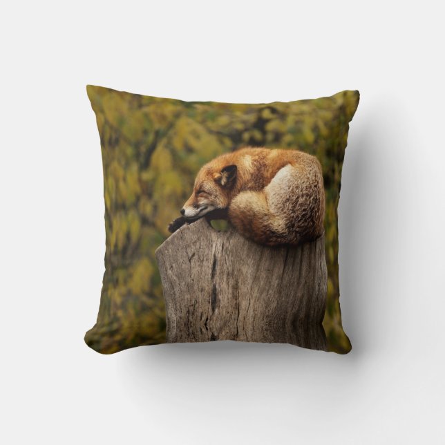 Coussin Photo de renard endormi (Recto)