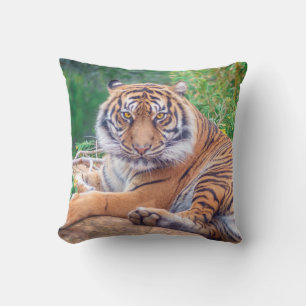 Coussin Photo de tigre étonnante
