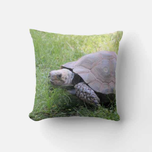 Coussin Photo de tortue Brown de la faune (Recto)
