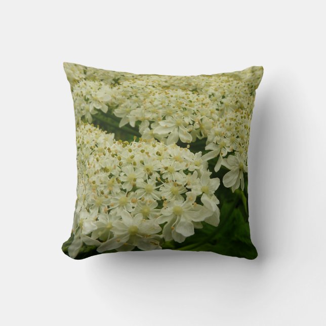 Coussin Photo du Fleur sauvage de dentelle de la reine Ann (Recto)