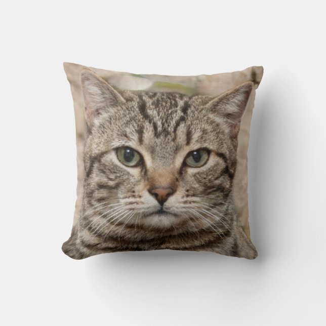 Coussin Photo du sérieux chat tigre - amateurs de chats (Recto)