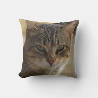 Coussin Photo du visage d'un chat sérieux dans une couleur
