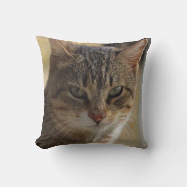 Coussin Photo du visage d'un chat sérieux dans une couleur (Recto)