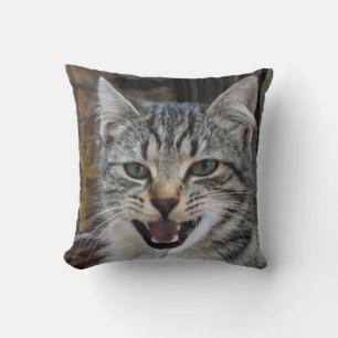 Coussin Photo d'un chaton sauvage, excité, amoureux de les