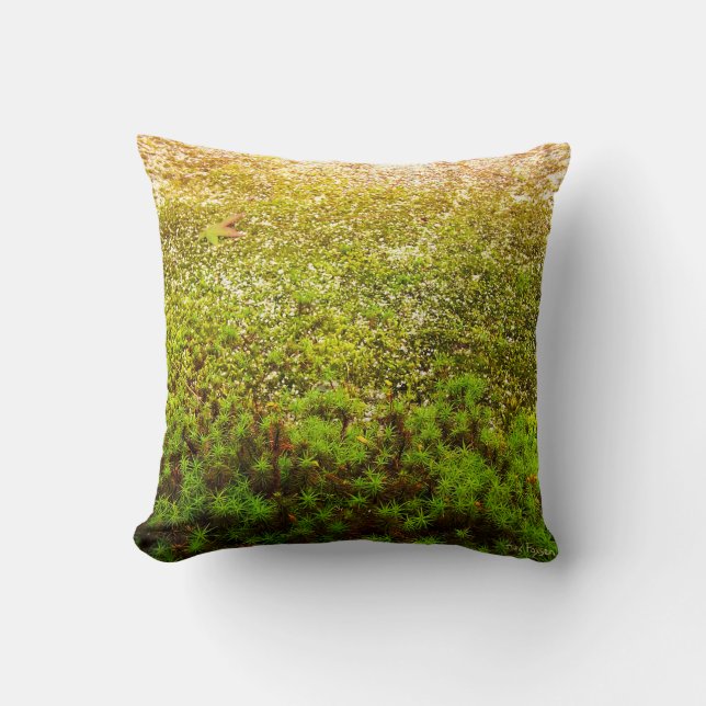 Coussin Photo en gros plan de mousse verte de Haircap (Recto)