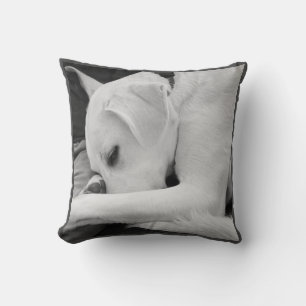 Coussin Photo en noir et blanc de mignon chien reposant av
