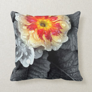 Coussin Photo Fiery Primrose