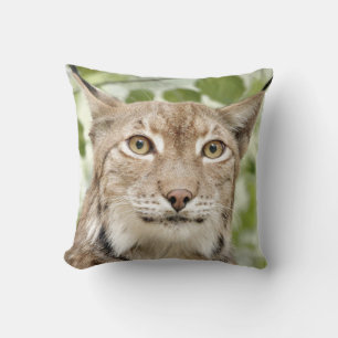 Coussin Photo lynx, chat, animaux, lancer l'oreiller