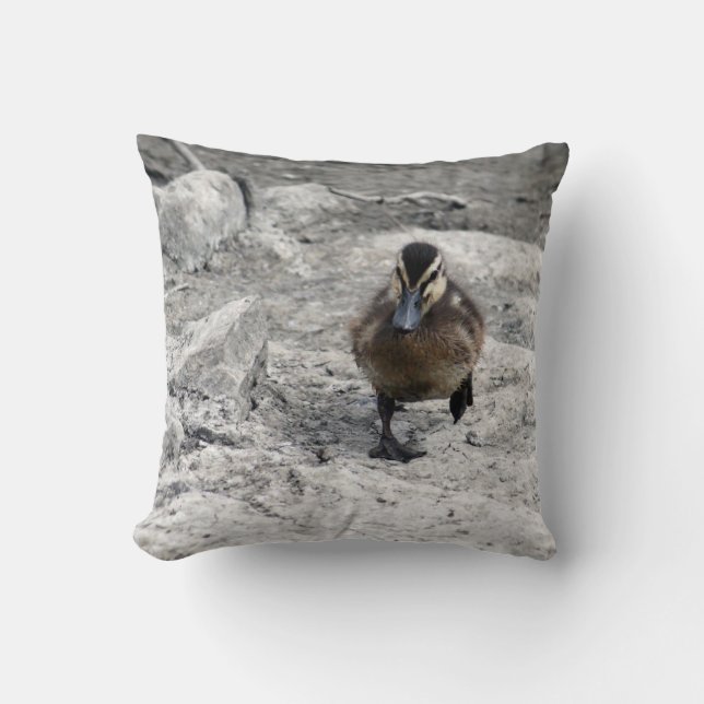 Coussin Photo Mallard Duckling (Recto)