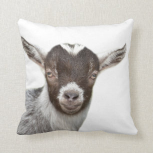 Coussin Photo mignonne de crèche d'animal de ferme de