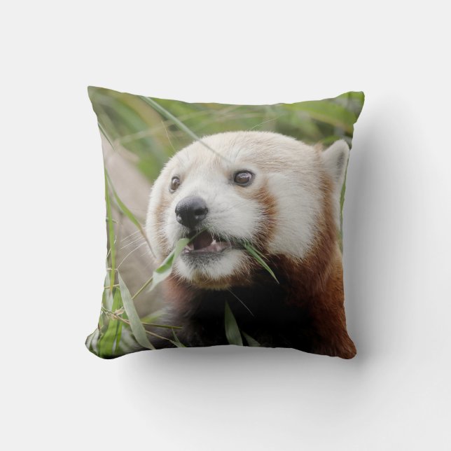 Coussin photo panda rouge. (Recto)