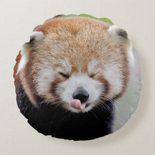 Coussin photo panda rouge.