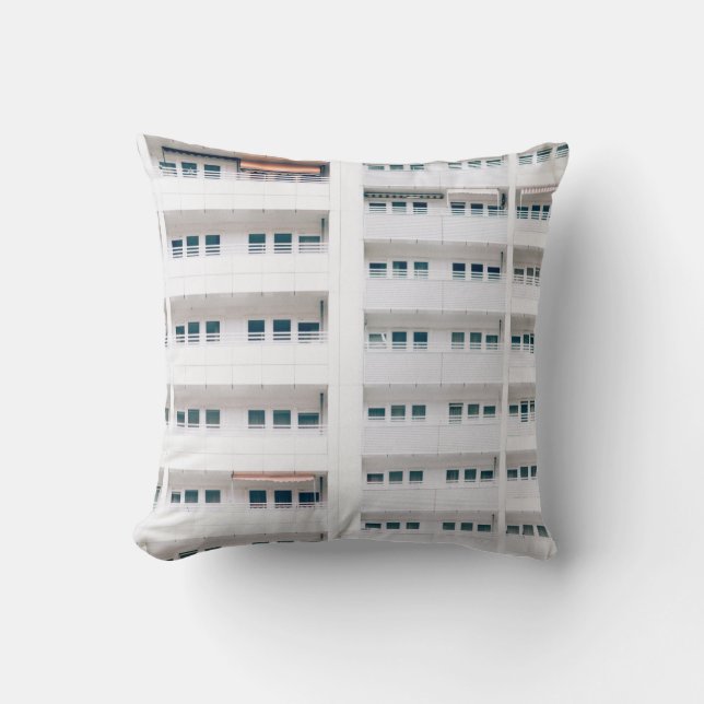 COUSSIN PHOTO PAYSAGE DES FENÊTRES DE CONSTRUCTION (Recto)
