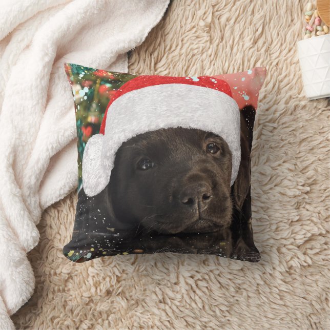 Coussin Photo pour animaux de compagnie Amoureux des chien (Couverture)