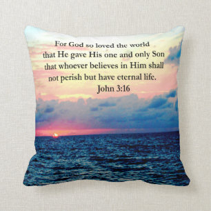 COUSSIN PHOTO SPIRITUELLE JOHN 3:16