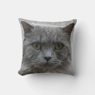Coussin Photo triste chat gris adulte, race rare, amoureux