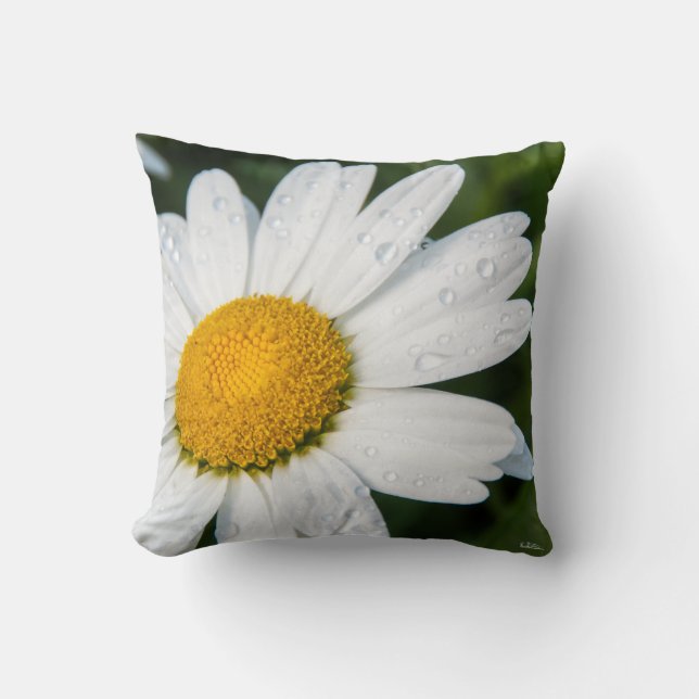 Coussin photo, une margueritte, font vert (Recto)