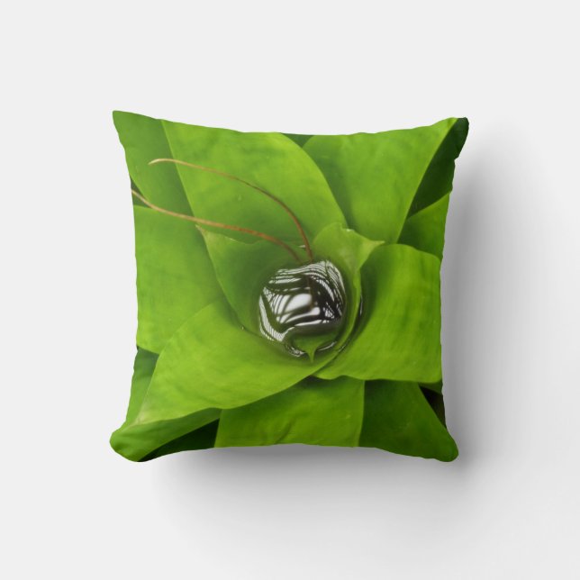 Coussin Photographie botanique verte de Bromeliad (Recto)