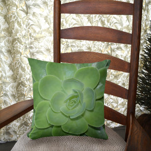 Coussin Photographie botanique verte Succulente