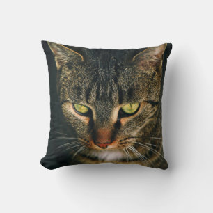 COUSSIN PHOTOGRAPHIE COMPLÈTE DE TABY GRIS CAT