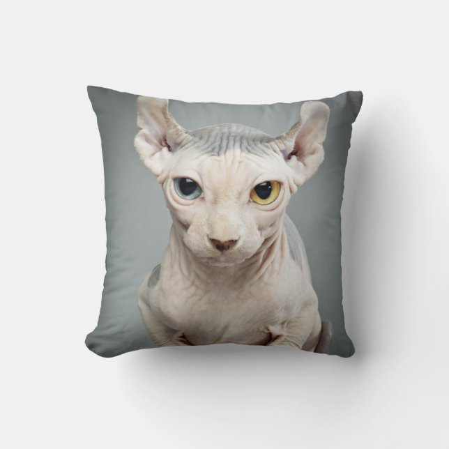 Coussin Photographie de chat de sphinx d'Elf (Recto)