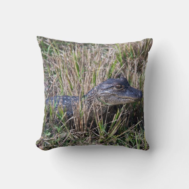 Coussin Photographie de la faune de l'alligator bébé marai (Recto)