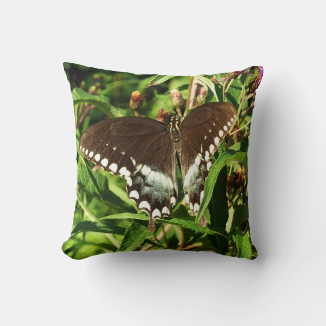Coussin Photographie de la nature du papillon noir Swallow (Recto)