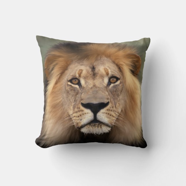 Coussin Photographie de lion (Recto)