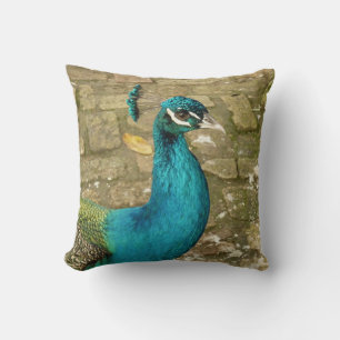 Coussin Photographie de nature magnifique de paon