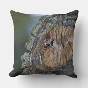 Coussin Photographie de souche d'arbre
