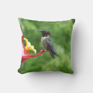 Coussin Photographie d'oiseau de colibri à gorge rubis