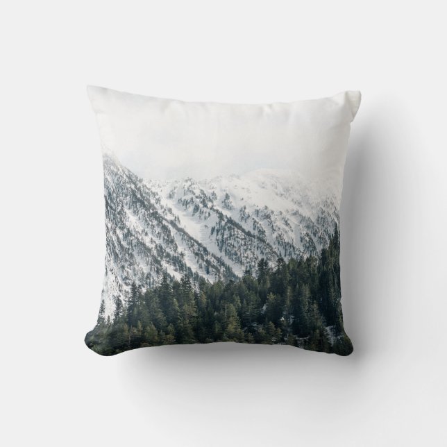 COUSSIN PHOTOGRAPHIE DU PAYSAGE DES ARBRES (Recto)