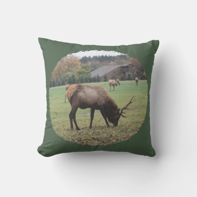 Coussin Photographie Gros Antlers D'Elk Homme Grange (Recto)